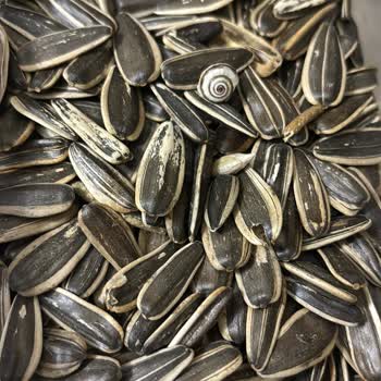 BİM'den Aldığım Üründe Şok Edici Durum!