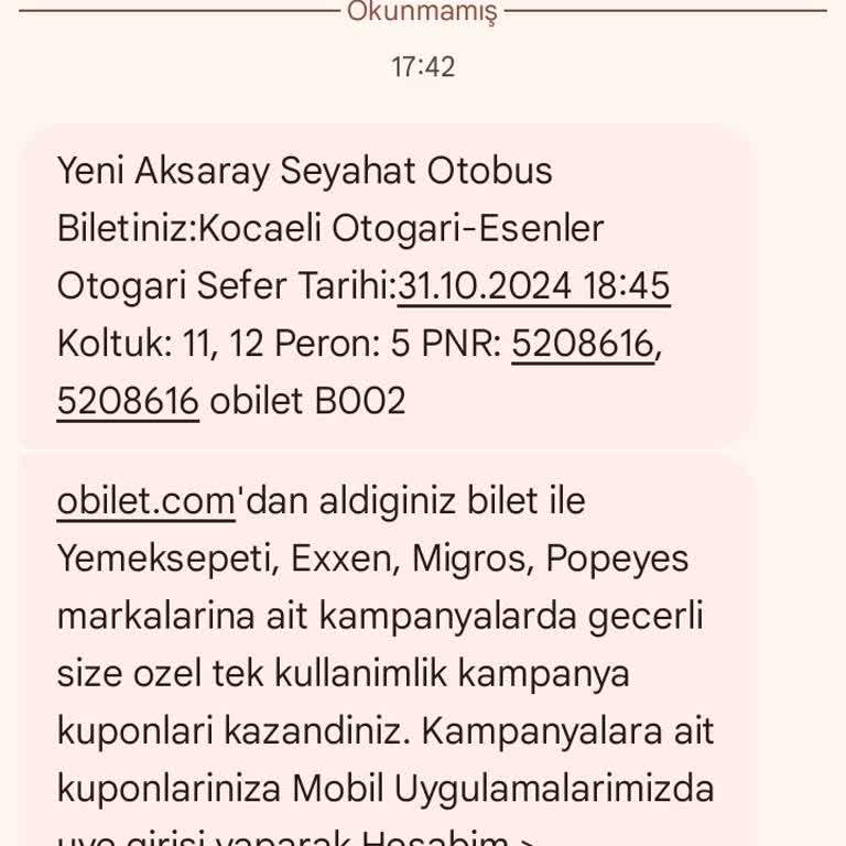 Seyahat Esnasında Sigara İçen Şoför