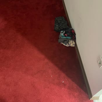 Galleria AVM Ümitköy Şikayeti