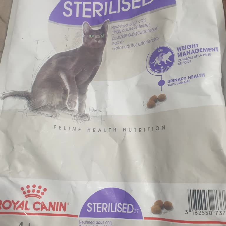 Sahte Mama Skandalı: Kedilerim Tehlikede