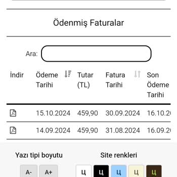 İnternet Hız Sorunu Ve Yetersiz Altyapı Desteği