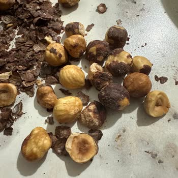 Bayat Fındık Şoku: Ağır Yağ Kokusu Ve Kötü Tat