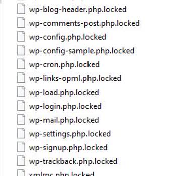 Datahost.net.tr İle Veri Kurtarma Hizmetinde Hayal Kırıklığı