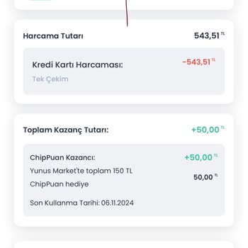 Chippin Kampanyasında Haksızlık: Kazanılan Puanlar Yüklenmedi!