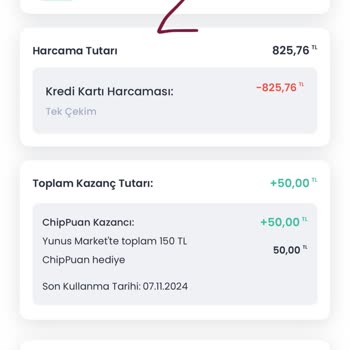 Chippin Kampanyasında Haksızlık: Kazanılan Puanlar Yüklenmedi!