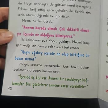 Artı Eğitim Yayınları Çılgın Hayri Serisi Şikayeti