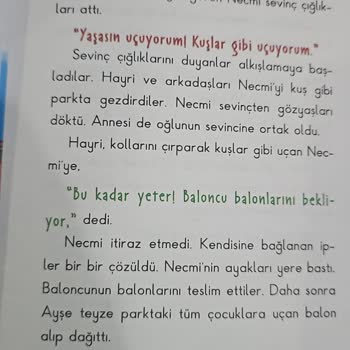 Artı Eğitim Yayınları Çılgın Hayri Serisi Şikayeti