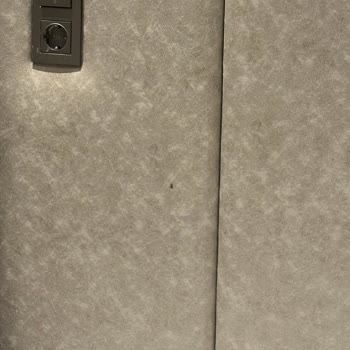 Velour Hotel'de Hijyen Ve Konfor Sorunları