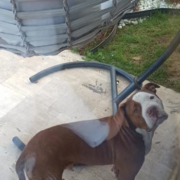 Jolly Tur Havuz Sorunları Ve Güvenlik Eksiklikleriyle Dolu Bir Tatil Kabusu!