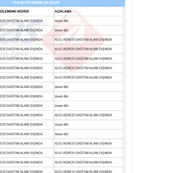 Aras Kargo'nun Teslimat Sorunları Ve Müşteri Hizmetleri Yetersizliği