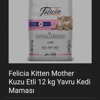 Online Pet Shop Siparişimde Yaşanan Sorunlar