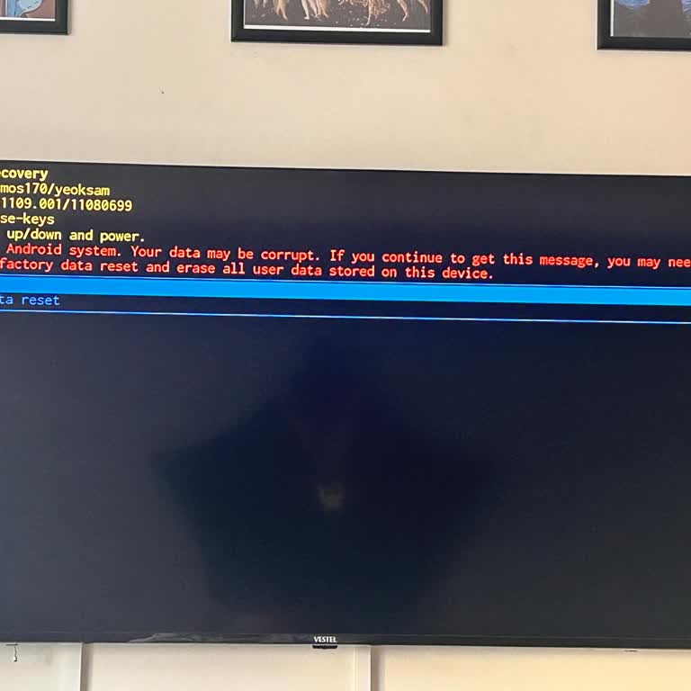 Vestel TV'de Sürekli Arızalar Ve Yetersiz Servis Hizmeti