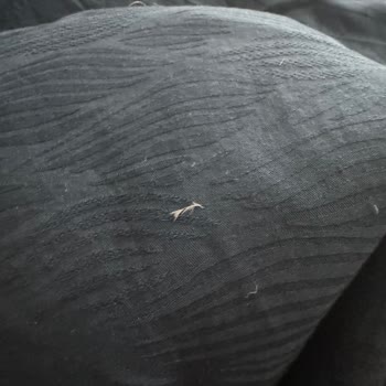 Chakra Yorganın Tüy Dökme Sorunu