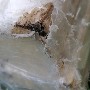 Kandırılma Ve Zorlaştırılan İade Süreci