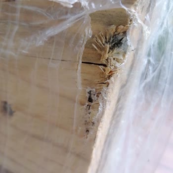 Kandırılma Ve Zorlaştırılan İade Süreci