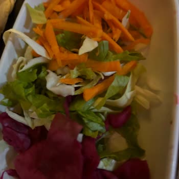 Sapancakkturizm Karakadılar Turu Ve Uçarsu Tekneleri!