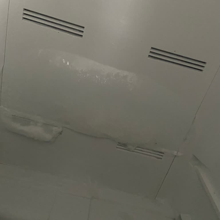 Vestel Buzdolabı Sorunu: Yiyecekler Donuyor, Çözüm Yok