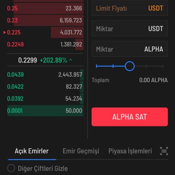 İcrypex'te Satış Emri Sorunu Ve Destek Eksikliği