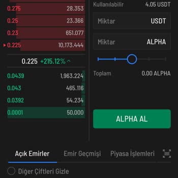 İcrypex'te Satış Emri Sorunu Ve Destek Eksikliği