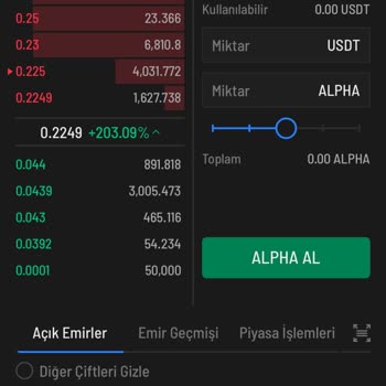 İcrypex'te Satış Emri Sorunu Ve Destek Eksikliği