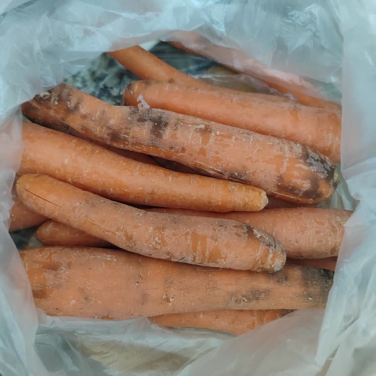 Market Siparişimdeki Havuçlar Çürük Çıktı Dönüş Bekliyorum