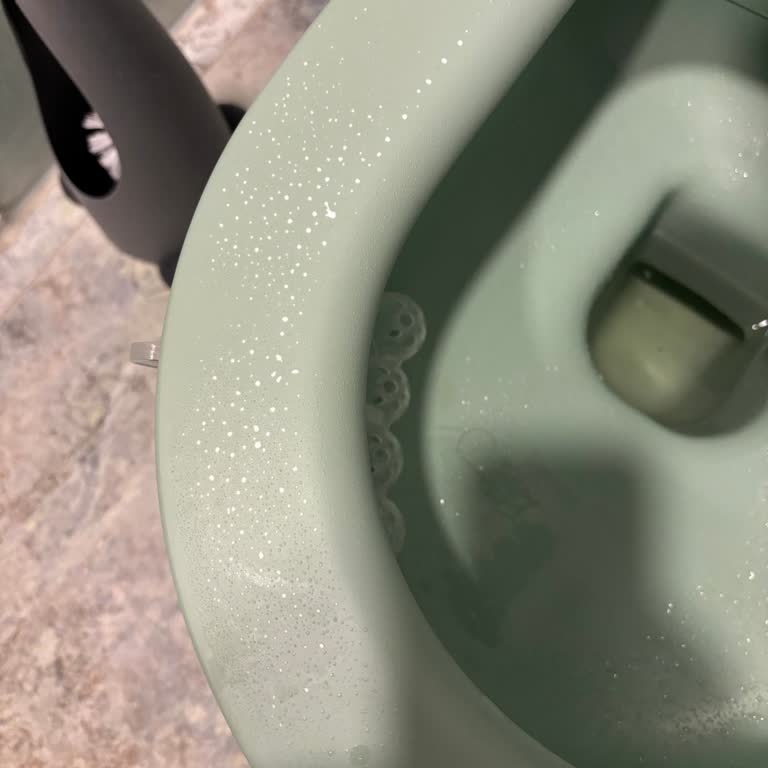 Bocchi Klozet Kapağında İlk Kullanımda Deformasyon Ve Müşteri Hizmetleri Sorunu