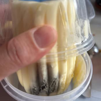 Tereyağında Küf Problemi