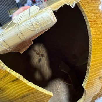 Kırık Saz Ve Çözüm Beklentisi