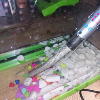 Balo Petshop Metromall Şikayeti