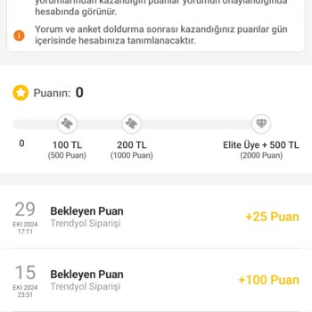 Sipariş Puanlarım Hesabıma Neden Geçmiyor