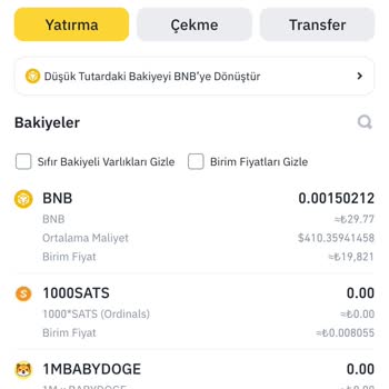 Binance TR Müşteri Hizmetlerine Ulaşamama Sorunu