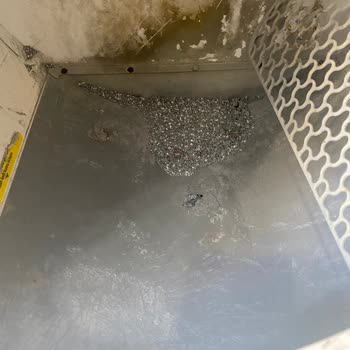 Kedi Tuvaleti Tamirinde Hayal Kırıklığı