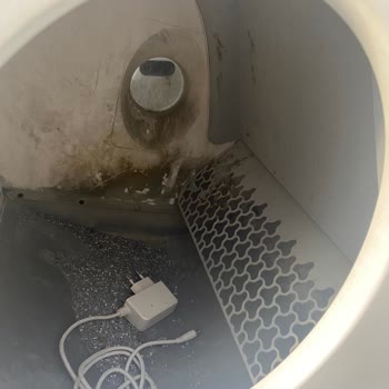 Kedi Tuvaleti Tamirinde Hayal Kırıklığı