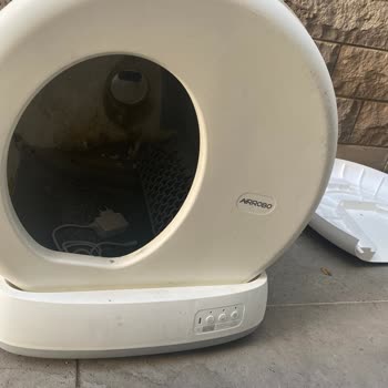 Kedi Tuvaleti Tamirinde Hayal Kırıklığı