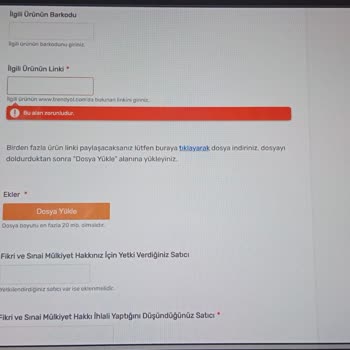 Marka İhlali ve Destek Hizmetlerinde Yaşanan Sorunlar