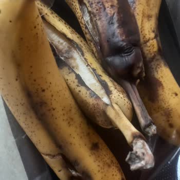 Yemeksepeti Market Siparişinde Yaşanan Sorun