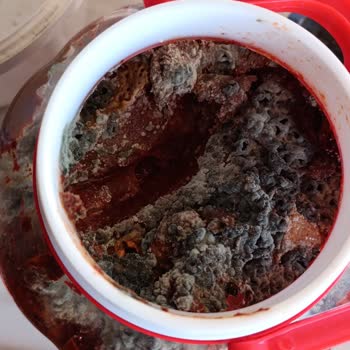 Seç Biber Salçası Bozulmaya Başladı!