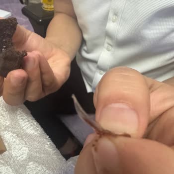 Ülker Tart Ek'te Plastik Parça Şoku