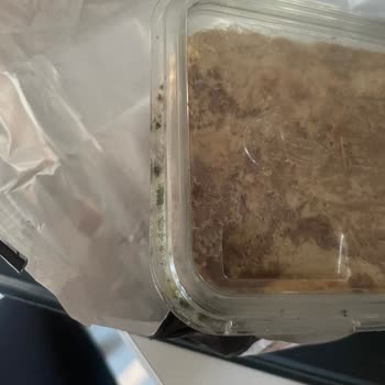 Küflü Helva Paketi: Sağlığımızla Oynanıyor!