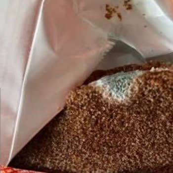 Bozuk Kinder Süt Burger Krizi