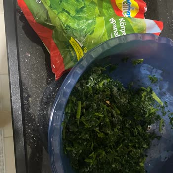 Superfresh Ispanakta Böcek Şoku