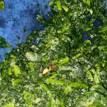 Superfresh Ispanakta Böcek Şoku