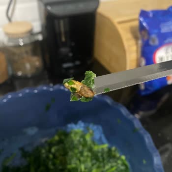 Superfresh Ispanakta Böcek Şoku