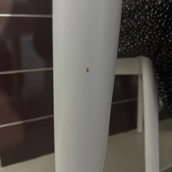 Kalitesiz Ürün Ve İlgisiz Müşteri Hizmetleri
