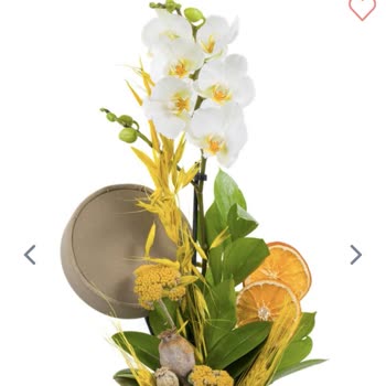 Yanlış Çiçek Teslimatı Ve Eksik Bilgilendirme