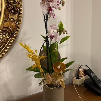 Yanlış Çiçek Teslimatı Ve Eksik Bilgilendirme