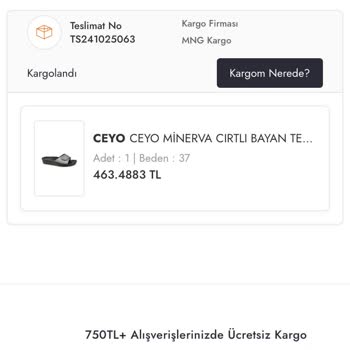 Kargoda Kayıp: Dgn Online Mağduriyeti