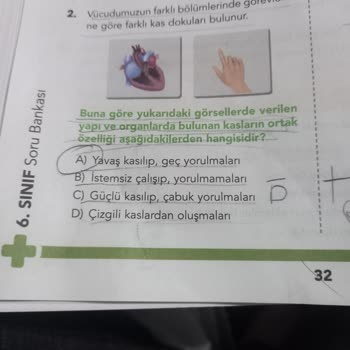 Destek Ve Hareket Sistemi Soru Bankasında Hatalı Basım Sorunu