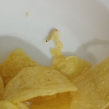 Şok Marketler Üründe Hijyen Sorunu