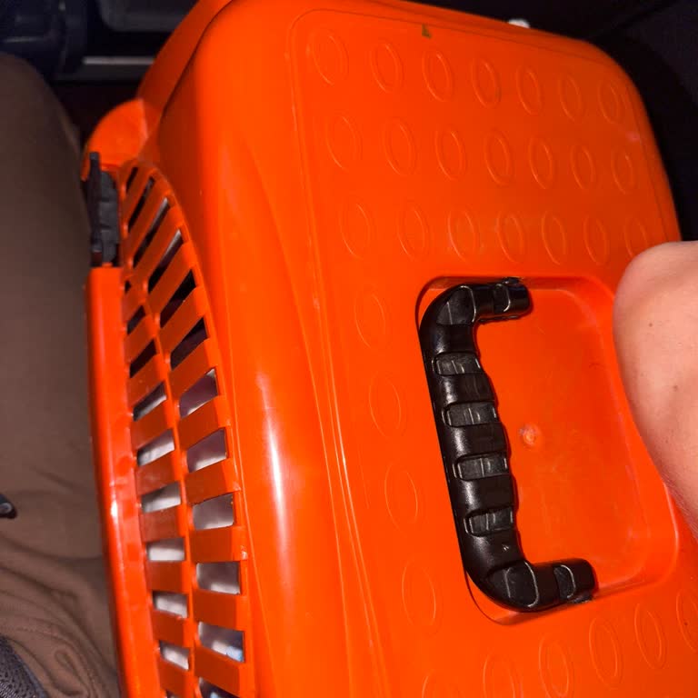 Antalya-Giresun Yolculuğunda Şok Ek Ücret Talebi